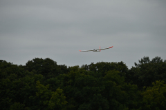 MZ6_9796