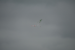 MZ6_9883
