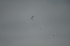MZ6_9886